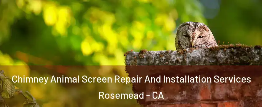  Chimney Animal Screen Repair And Installation Services Rosemead - CA