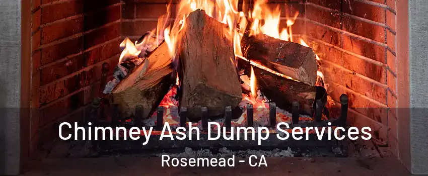  Chimney Ash Dump Services Rosemead - CA