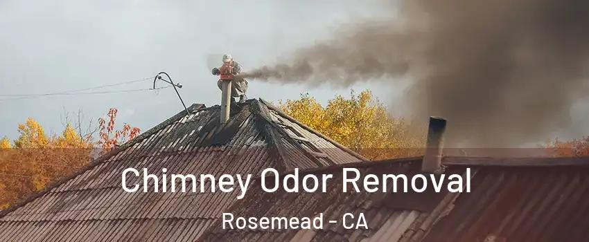  Chimney Odor Removal Rosemead - CA