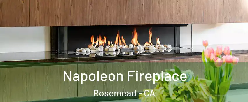  Napoleon Fireplace Rosemead - CA